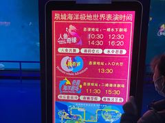 -泉城欧乐堡海洋极地世界