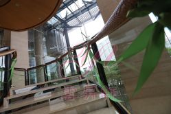 -上海浦东喜来登由由大酒店·宴会厅