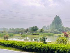 -夏河溪乡野公园