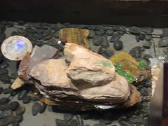 -红蜡烛-养生粥-津鲁菜(中山路店)