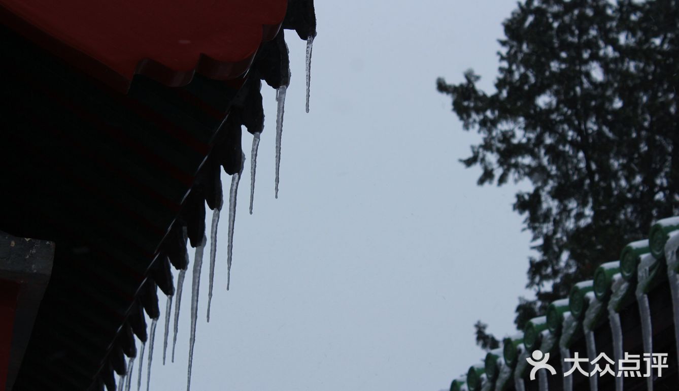 去年打卡太庙，今年打卡天坛