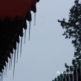 去年打卡太庙，今年打卡天坛