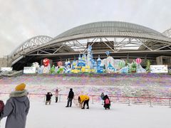 -沈阳奥体冰雪嘉年华