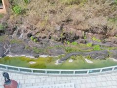 -广州七星岗古海岸遗址科学公园