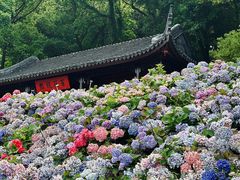 -苏州上方山国家森林公园
