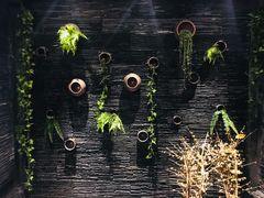 -一只烧鸡公(解放碑店)