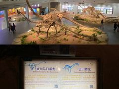 -自贡恐龙博物馆