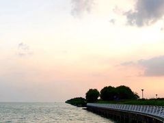 -贡湖湾湿地公园