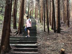 -武陵山森林公园