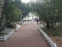 android_upload_pic-八大关景区