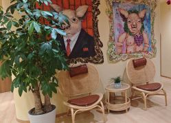 -小颜秘家·韩国整骨