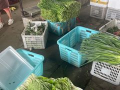 -江杨农产品批发市场