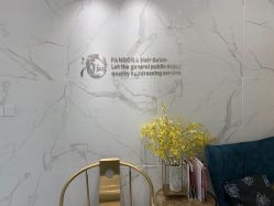 -潘多拉Hairsalon