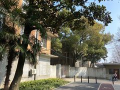 -上海山野camping·户外天幕烧烤·团建拓展营地