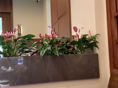 -品味居·首店·大连鲜活海鲜大连菜(东港店)