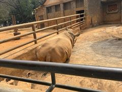 -昆明动物园