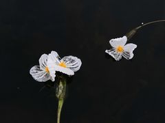 -丽江泸沽湖景区