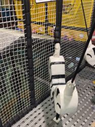 -MELAND CLUB亲子乐园·派对·餐厅(北京芳圆里ID MALL店)