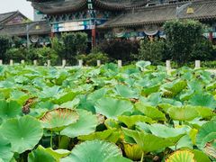 -大悲禅寺