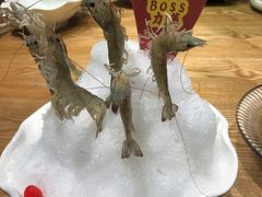 -尚海豆捞(乐虹坊店)