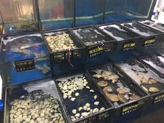 -蚝专家