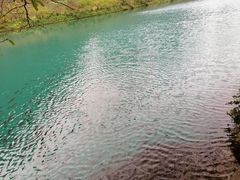-靖西鹅泉风景区