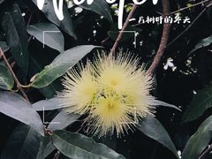 -广州市白云山风景名胜区