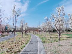 -东郊湿地公园