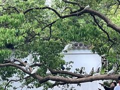 -西园戒幢律寺