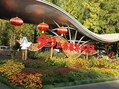 -东平国家森林公园