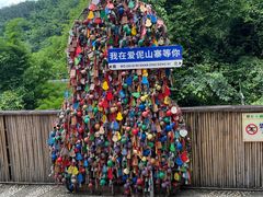 -西双版纳原始森林公园
