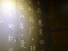 -长药唐师乐山油炸(石人直营店)