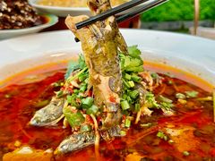 -院8里·少城记忆老川菜(宽窄巷子店)