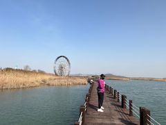 -太湖湖滨国家湿地公园-停车场