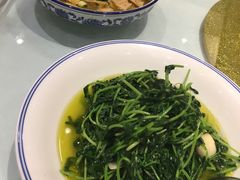 豆苗-翠山·映月湖景餐厅(映月湖公园店)