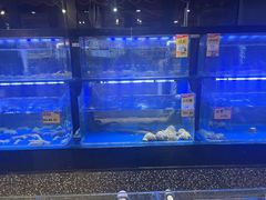 -永红源啤酒·烧烤·海鲜·大排档(青特城店)