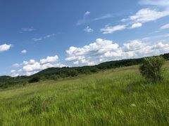 -塞罕坝国家级自然保护区