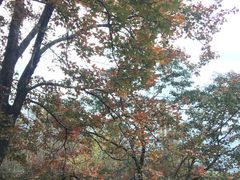 -广州市石门国家森林公园