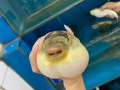 -永安鱼庄·镇江菜(丁卯店)