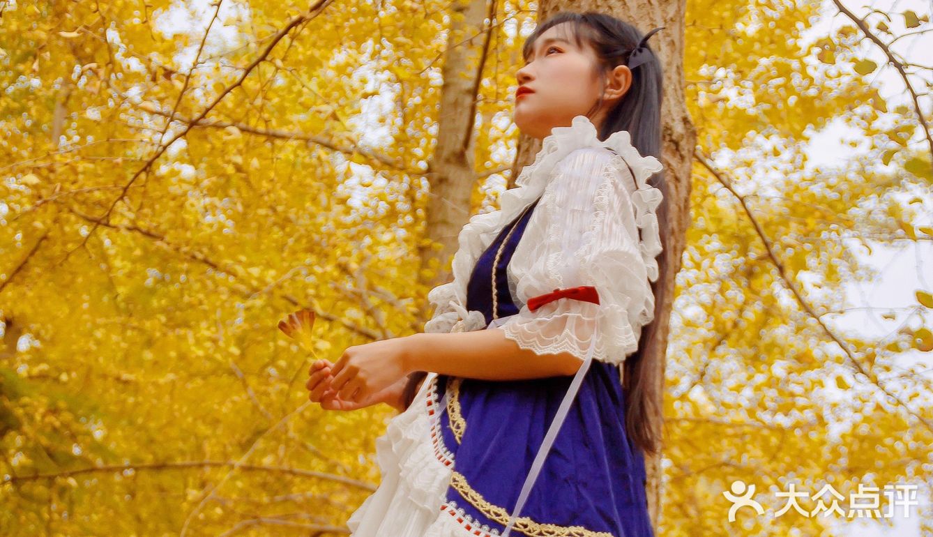 秋日金色童话☀️邂逅午后阳光宝藏银杏园