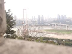 -蒋六十八梯眼镜面(渝中店)
