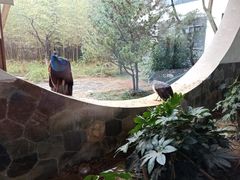 -苏州环秀晓筑养生度假村