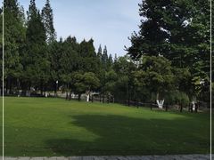 -瀛洲公园