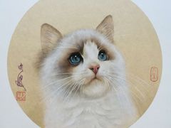 -六出私塾LiuChu•成人美术书法系统课程专业画室(熊婆婆的花园店)