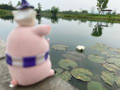 -良渚古城遗址公园