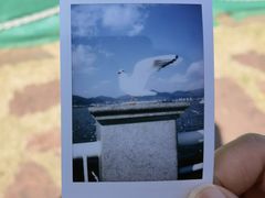-海埂大坝