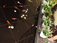 -鼎泰丰(当代商城店)
