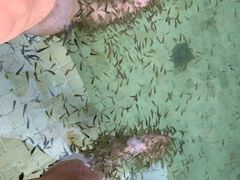 -春晖园度假酒店温泉