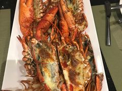 -圆顶阁西餐厅(郑州索菲特国际饭店 )