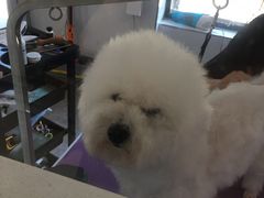 -宠颐生动物医院·心脏科·保险定点(锦阳分院)